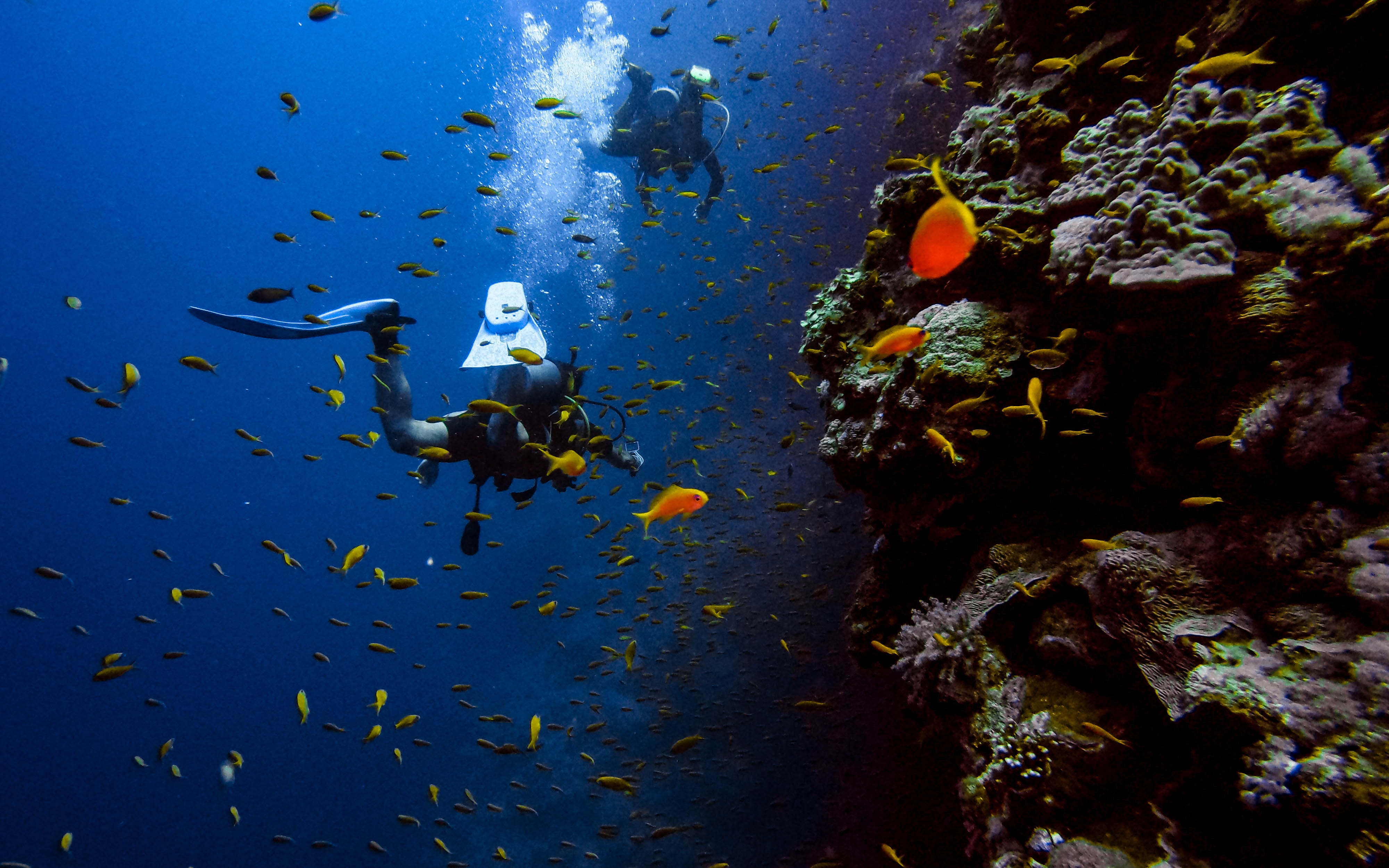 Book A Diving Course On The Pacific Ocean